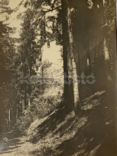 80 Kč JH Foto Staré Město pod Landštejnem, CZE111884