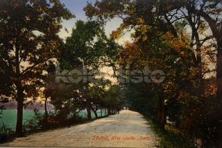 220 Kč JH Pohlednice Třeboň, CZE112101