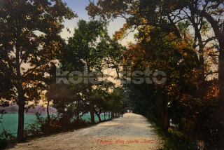 260 Kč JH Pohlednice Třeboň, CZE112109