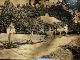 100 Kč JI Foto Drážďanská myslivna, CZE112166