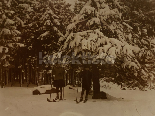300 Kč JI Pohlednice Hojkov-Hutě-Čeřínek LYŽOVÁNÍ, CZE112186