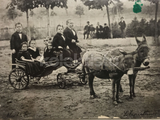 220 Kč JI Pohlednice Jihlava LILIPUTÉ, CZE112251
