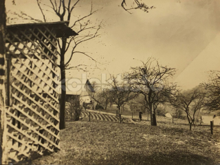 100 Kč JN Foto Koberovy, CZE112330