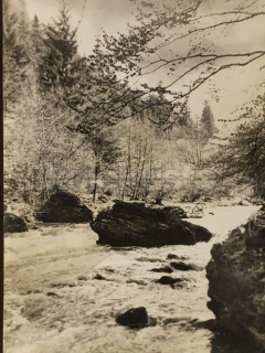 60 Kč JN Foto Český Ráj říčka Kamenice, CZE112482