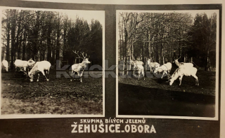 260 Kč KH Pohlednice Žehušice, CZE112999
