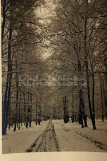 160 Kč KL Pohlednice Lány, CZE113604