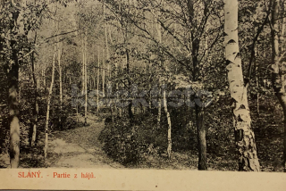 260 Kč KL Pohlednice Slaný, CZE113662