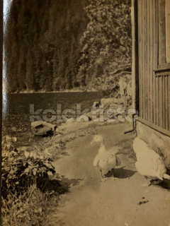 100 Kč KT Foto Černé jezero, CZE114256