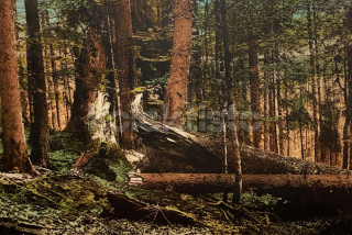 220 Kč KT Pohlednice ŠUMAVA, CZE114288