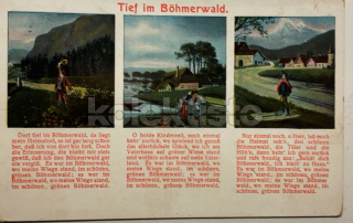 240 Kč KT Pohlednice ŠUMAVA, CZE114290