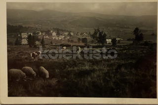 280 Kč KT Pohlednice Srní, CZE114311
