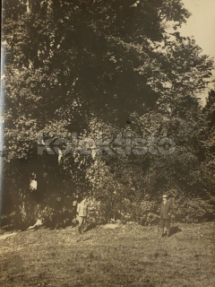 60 Kč KT Foto Klatovy-Markyta, CZE114386