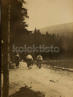80 Kč KT Foto Černé Jezero, CZE114388