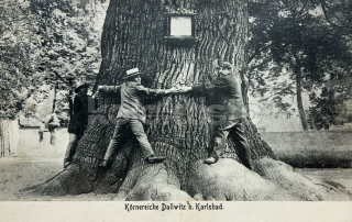 400 Kč KV Pohlednice Dalovice, CZE114728