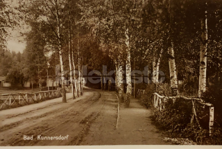 280 Kč LI Pohlednice Osečná-Lázně Kundratice, CZE115523