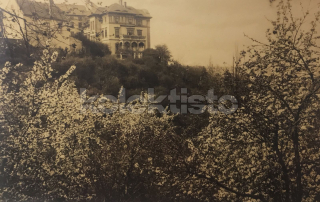 280 Kč LN Pohlednice Žatec, CZE116232