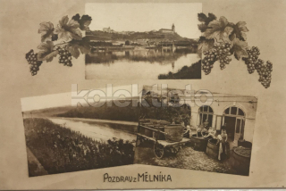300 Kč ME Pohlednice Mělník, CZE116953
