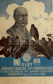 320 Kč NA Pohlednice Hronov SOKOL, CZE117455