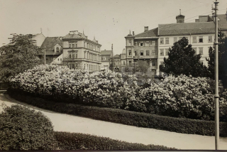 320 Kč NA Pohlednice Jaroměř-Josefov, CZE117711