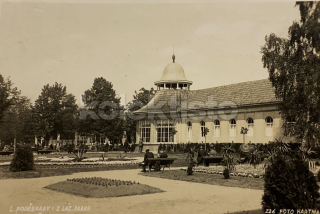 130 Kč NB Pohlednice Poděbrady, CZE118279
