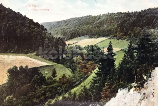 220 Kč NJ Pohlednice Odry, CZE118429