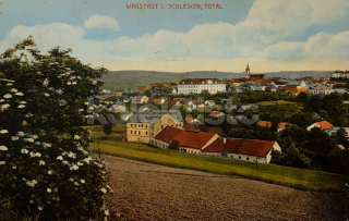360 Kč NJ Pohlednice Bílovec, CZE118472