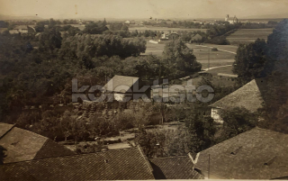 260 Kč OL Pohlednice Příkazy, CZE118712