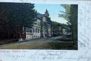 450 Kč OL Pohlednice Šternberk, CZE118778