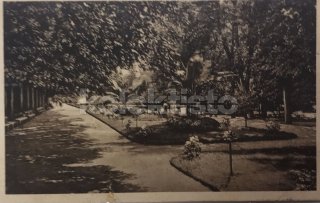 240 Kč OL Pohlednice Olomouc, CZE118956