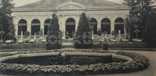 260 Kč OL Pohlednice Olomouc, CZE118984