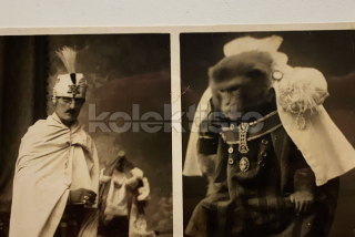 650 Kč OL Pohlednice Olomouc CIRKUS, CZE119106