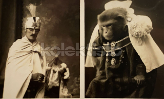 650 Kč OL Pohlednice Olomouc CIRKUS, CZE119108