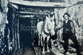 450 Kč OS Pohlednice Ostrava HORNÍCI, CZE119593