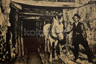 450 Kč OS Pohlednice Ostrava HORNÍCI, CZE119595