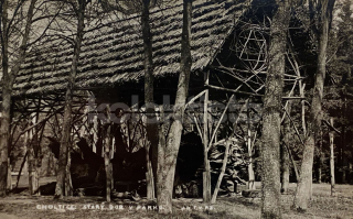 260 Kč PA Pohlednice Choltice, CZE119829