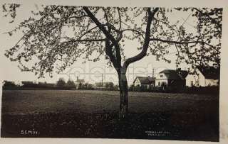 260 Kč PA Pohlednice Semín, CZE119839