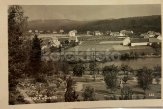 260 Kč PB Pohlednice Voznice, CZE120149