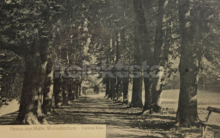 220 Kč PR Pohlednice Hranice, CZE121886