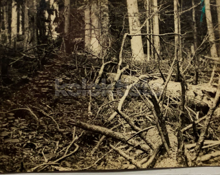 100 Kč PT Foto Boubín, CZE122141