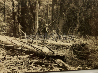 100 Kč PT Foto Boubín, CZE122142