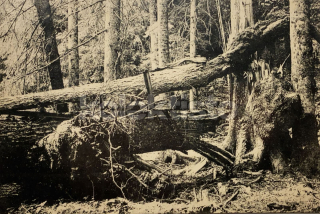 170 Kč PT Pohlednice ŠUMAVA, CZE122160