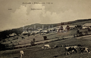 360 Kč PT Pohlednice Bučina, CZE122196