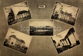 360 Kč PT Pohlednice Dub, CZE122197