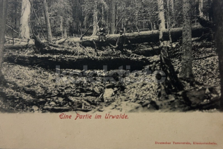 360 Kč PT Pohlednice ŠUMAVA, CZE122207