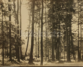 80 Kč PT Foto Boubín, CZE122252