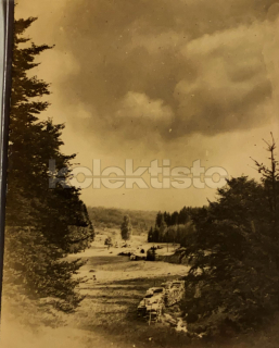80 Kč PT Foto Boubín-pod pralesem, CZE122253