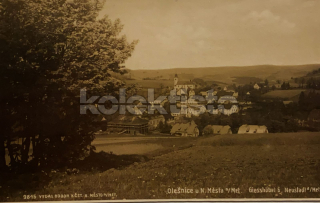 240 Kč RK Pohlednice Olešnice v Orlických horách, CZE122628