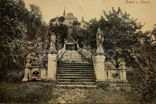 320 Kč RK Pohlednice Borovnice-Homole, CZE122698