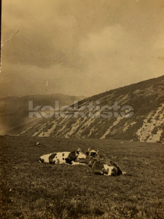 100 Kč SM Foto KRKONOŠE, CZE123013