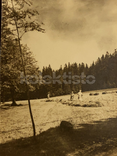100 Kč SM Foto KRKONOŠE, CZE123014